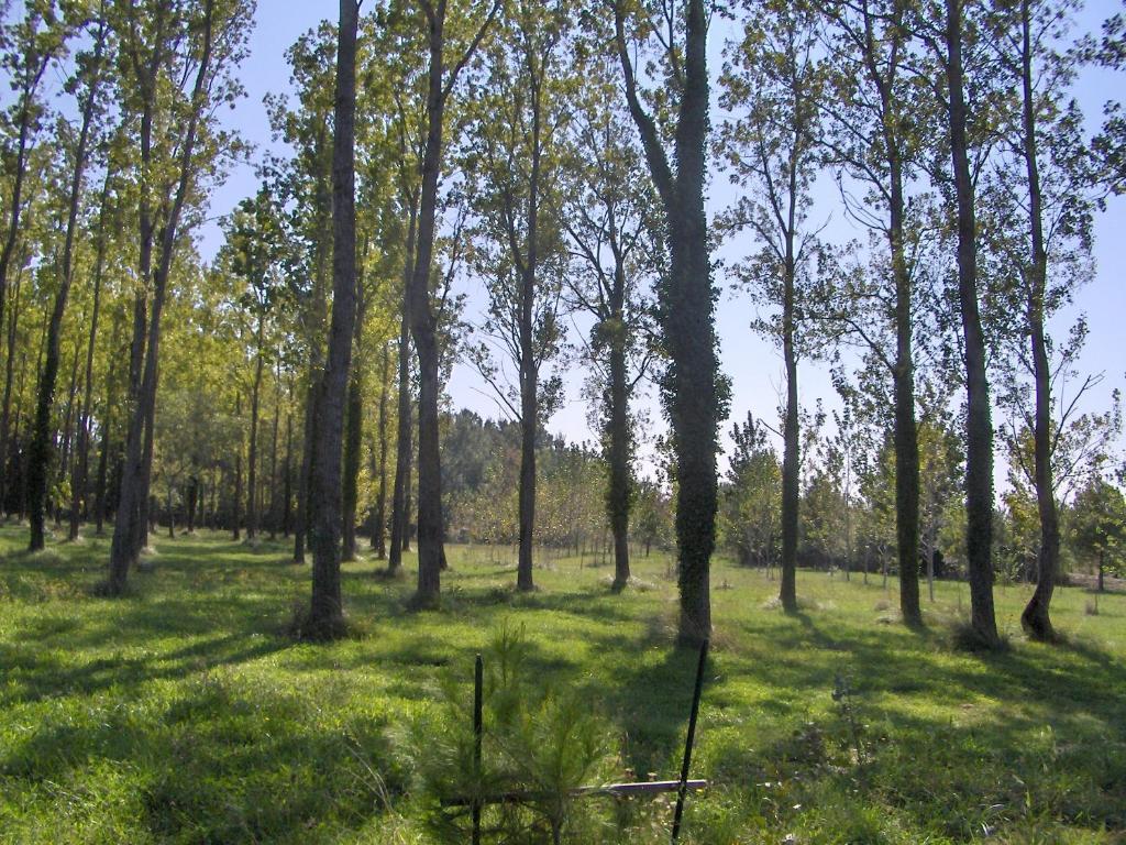 Résidence Les Peupliers Loriol-du-Comtat Exterior foto